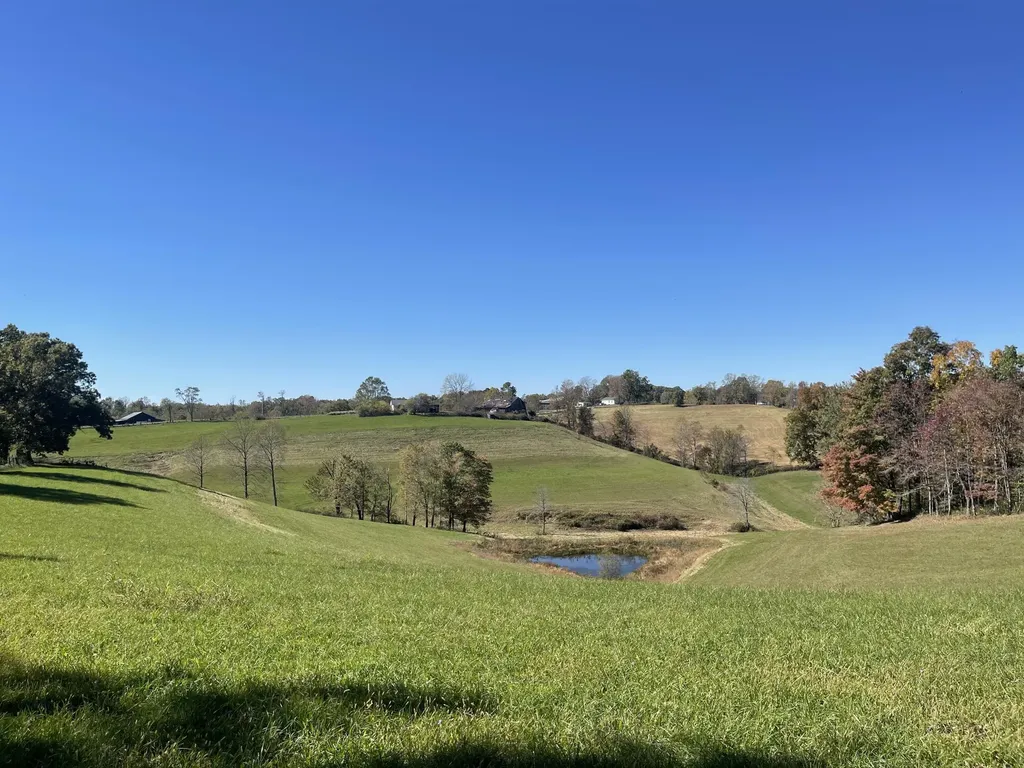 2494 Artville Road Wellington KY 40387