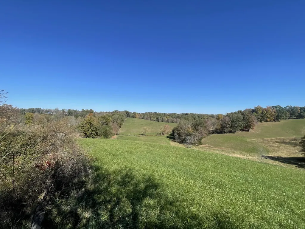 2494 Artville Road Wellington KY 40387