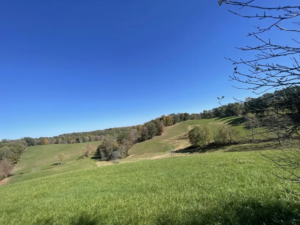 2494 Artville Road Wellington KY 40387