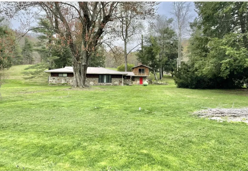 1459 Buck Lick Road Tollesboro KY 41189