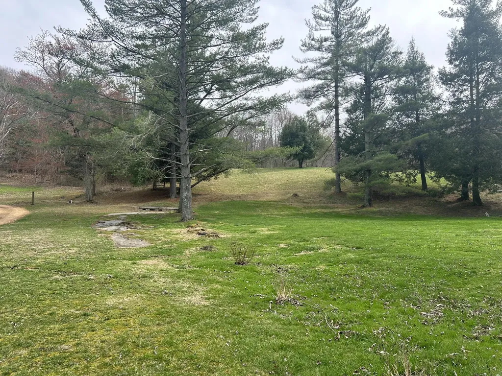 1459 Buck Lick Road Tollesboro KY 41189