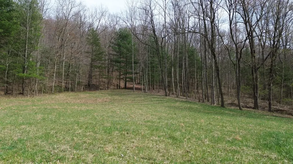 1459 Buck Lick Road Tollesboro KY 41189