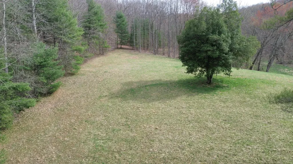 1459 Buck Lick Road Tollesboro KY 41189