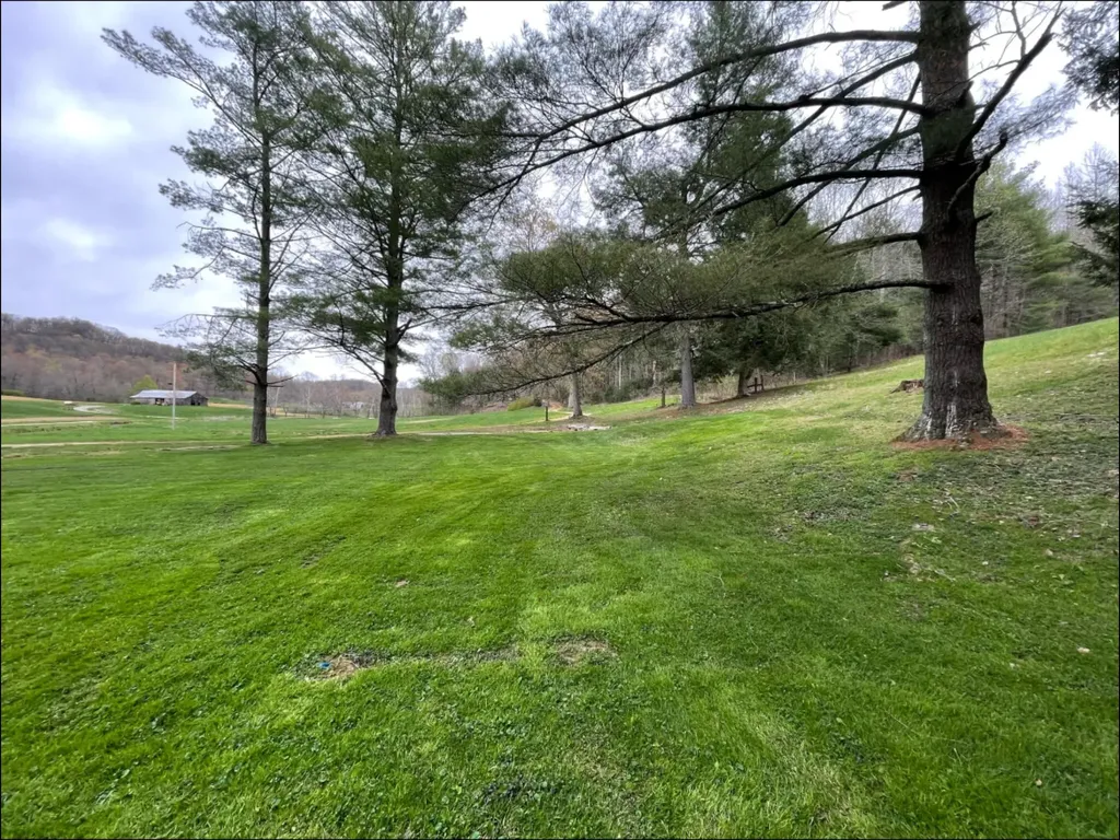 1459 Buck Lick Road Tollesboro KY 41189