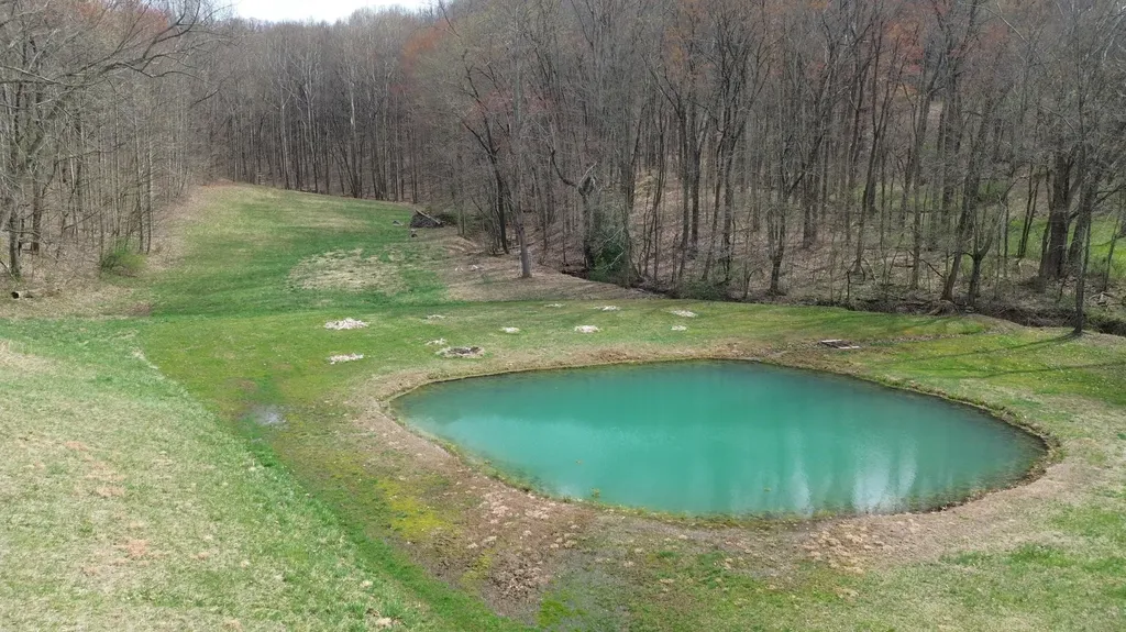 1459 Buck Lick Road Tollesboro KY 41189