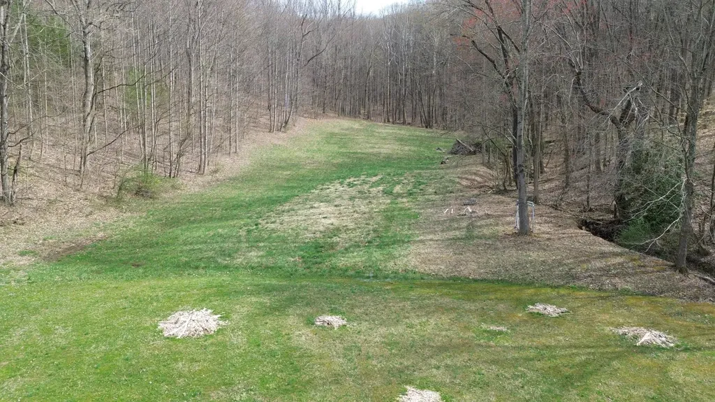 1459 Buck Lick Road Tollesboro KY 41189