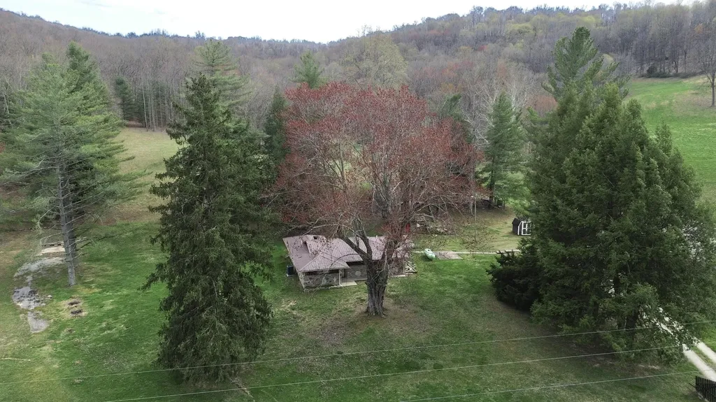 1459 Buck Lick Road Tollesboro KY 41189