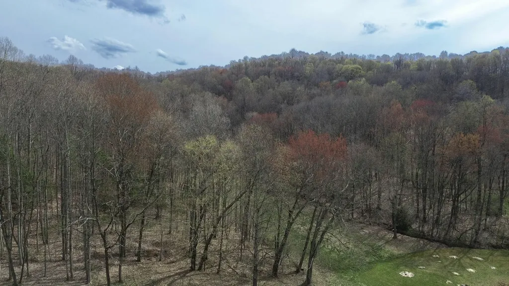 1459 Buck Lick Road Tollesboro KY 41189