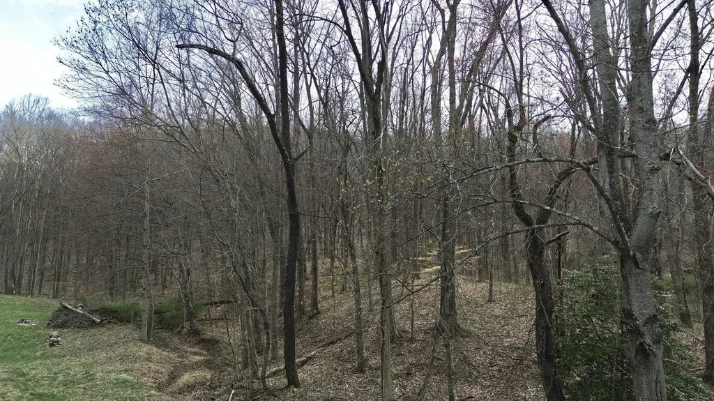 1459 Buck Lick Road Tollesboro KY 41189