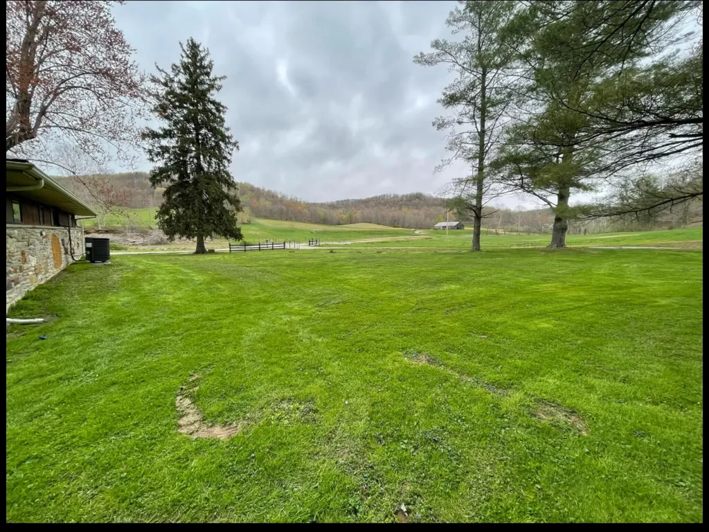 1459 Buck Lick Road Tollesboro KY 41189
