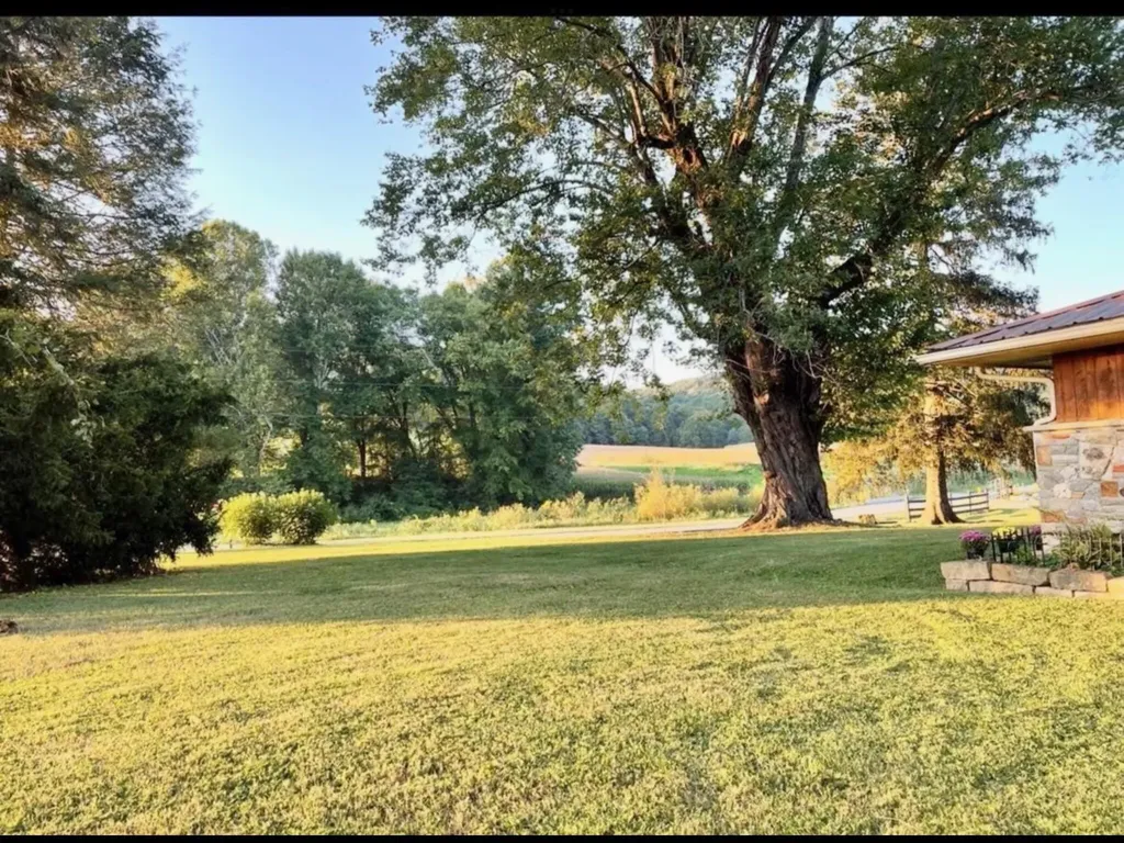 1459 Buck Lick Road Tollesboro KY 41189