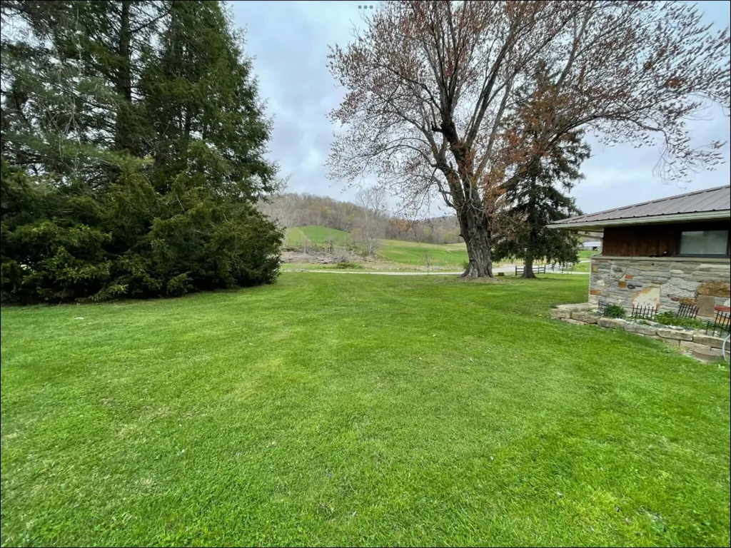 1459 Buck Lick Road Tollesboro KY 41189