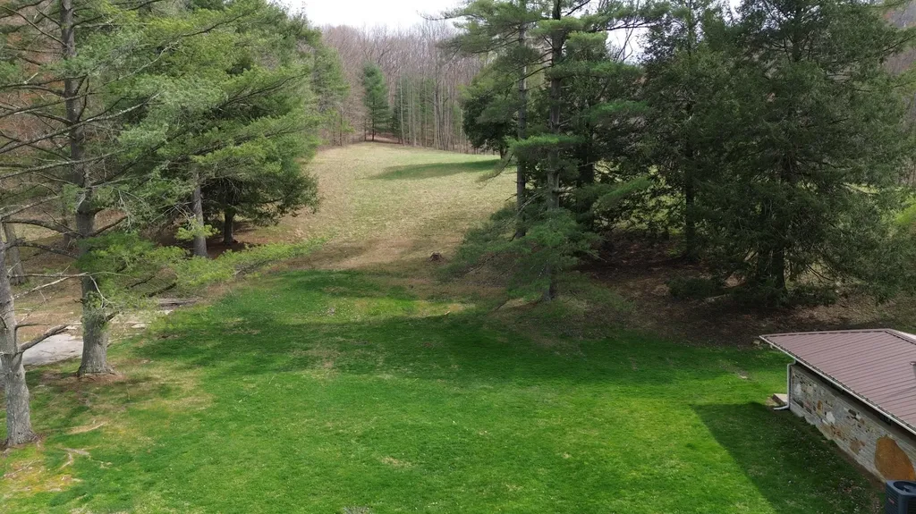 1459 Buck Lick Road Tollesboro KY 41189
