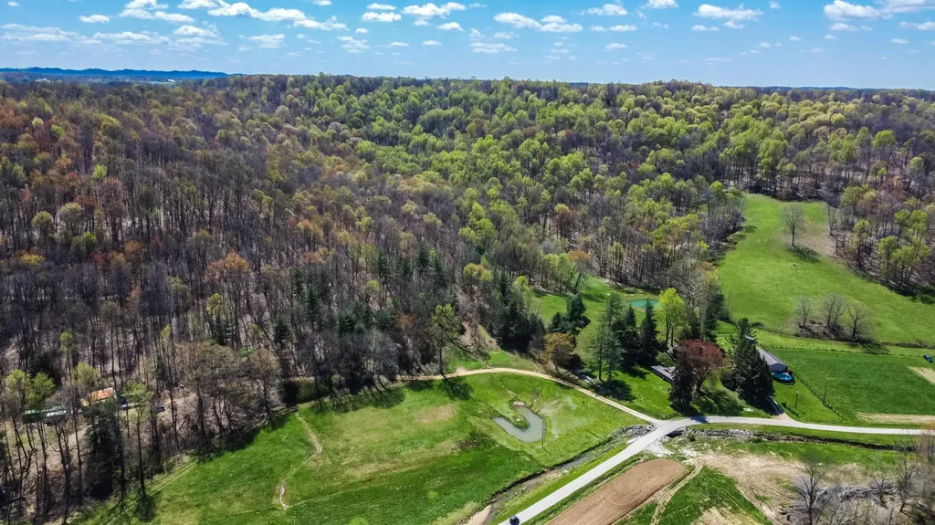 1459 Buck Lick Road Tollesboro KY 41189