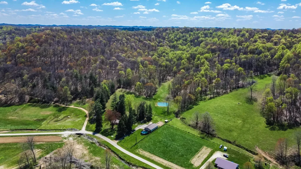 1459 Buck Lick Road Tollesboro KY 41189
