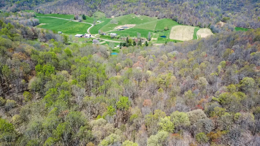 1459 Buck Lick Road Tollesboro KY 41189