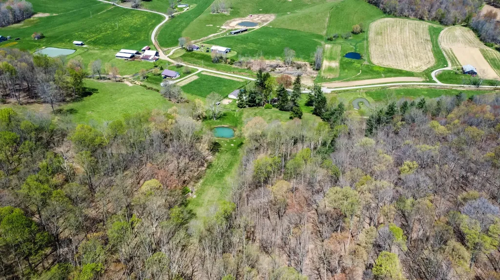 1459 Buck Lick Road Tollesboro KY 41189