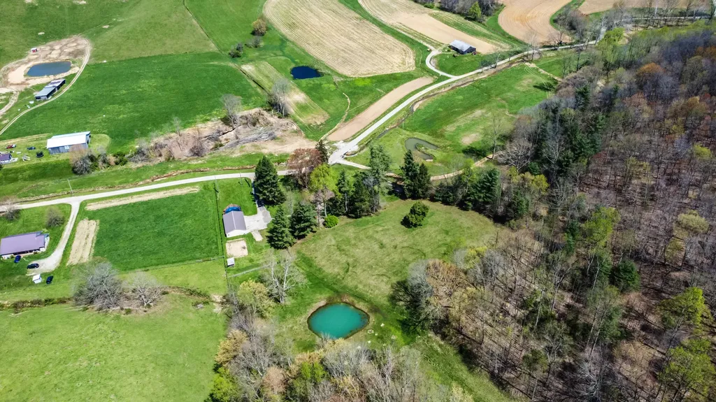 1459 Buck Lick Road Tollesboro KY 41189
