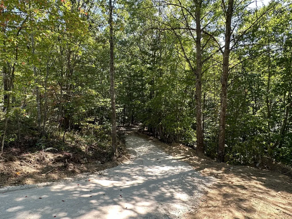 16 Coal Camp Road Hitchins KY 41146