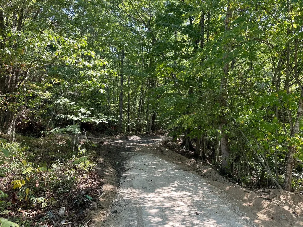 16 Coal Camp Road Hitchins KY 41146