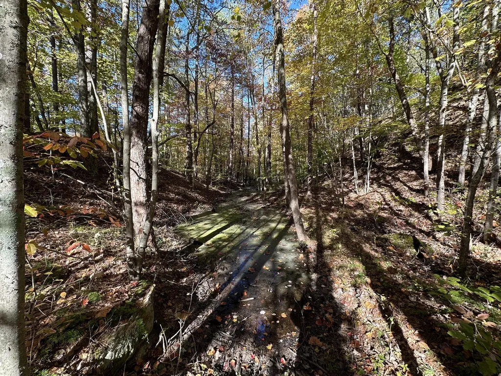 16 Coal Camp Road Hitchins KY 41146