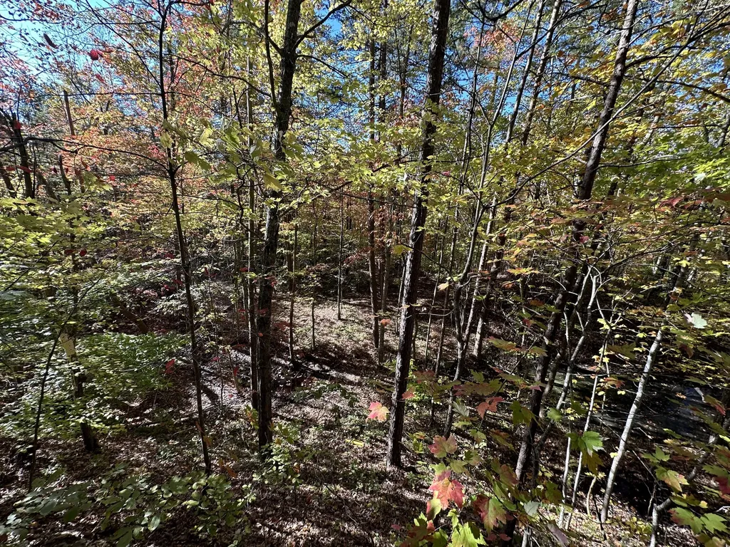 16 Coal Camp Road Hitchins KY 41146