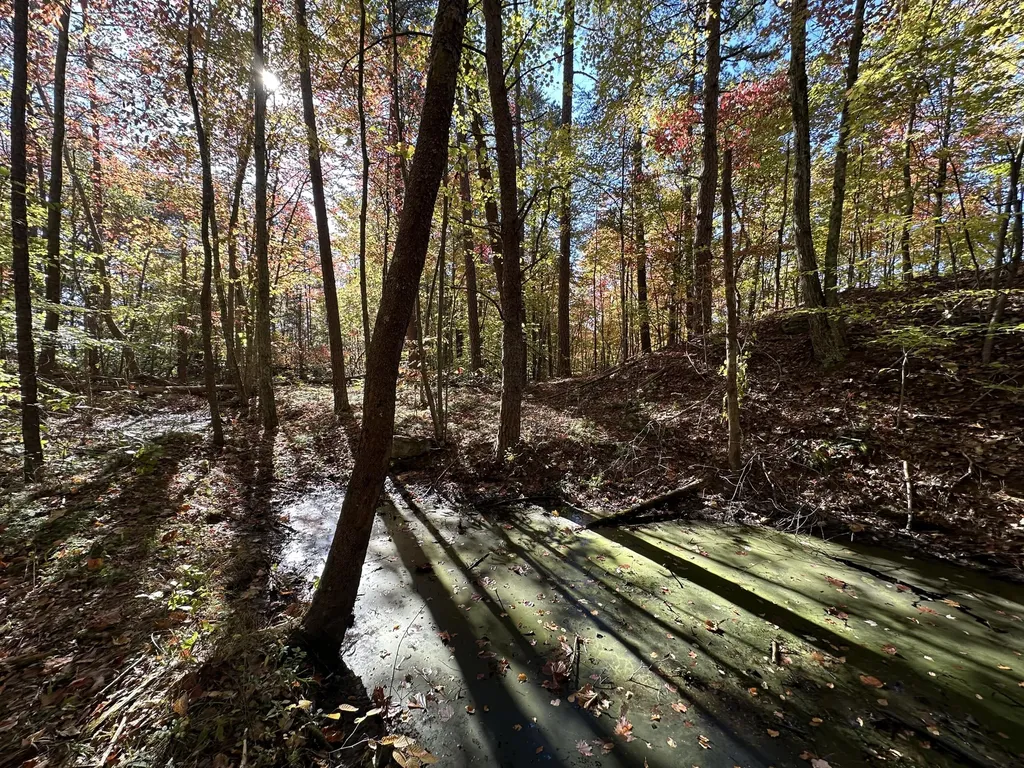 16 Coal Camp Road Hitchins KY 41146