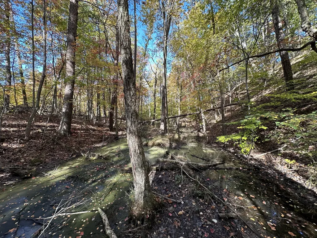 16 Coal Camp Road Hitchins KY 41146