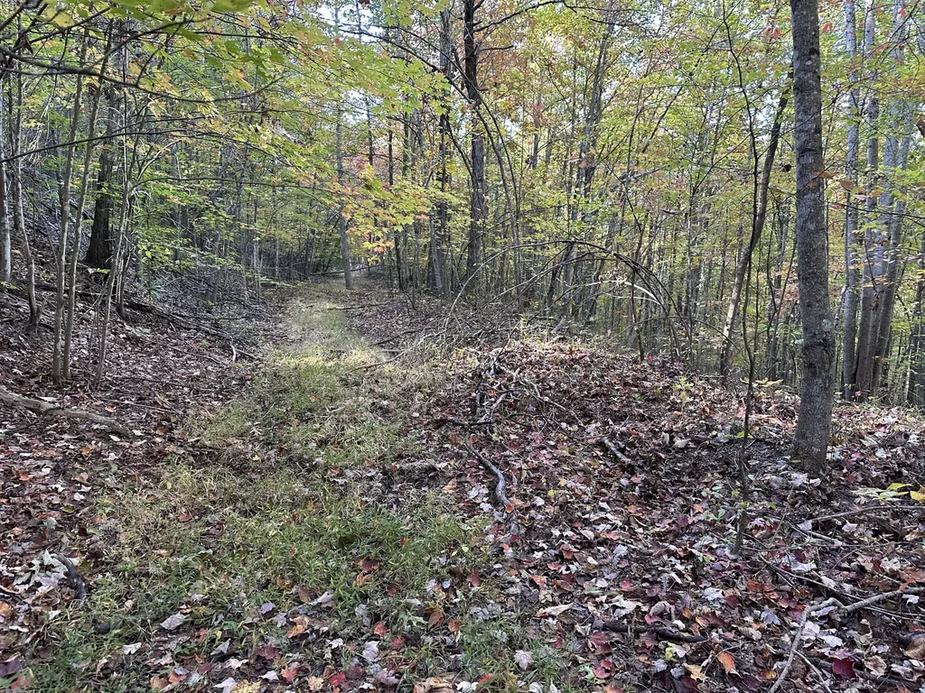 16 Coal Camp Road Hitchins KY 41146
