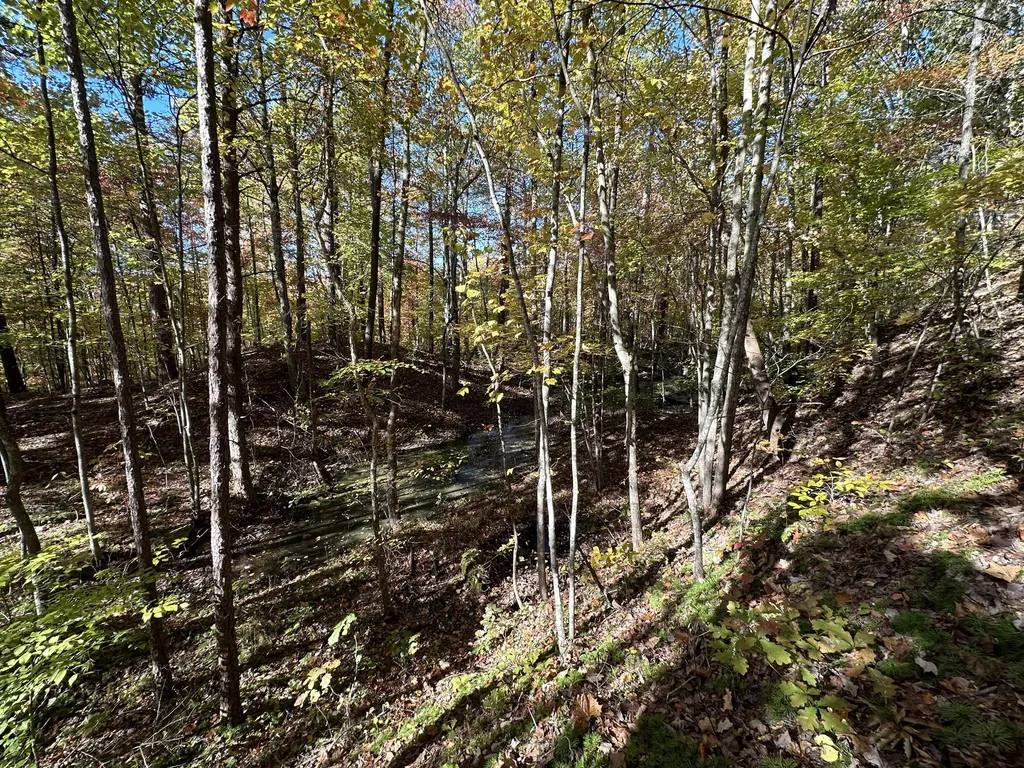 16 Coal Camp Road Hitchins KY 41146