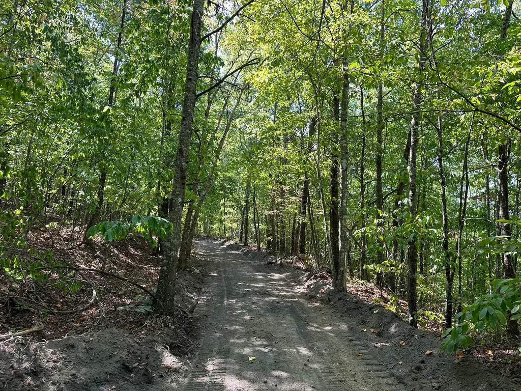 16 Coal Camp Road Hitchins KY 41146