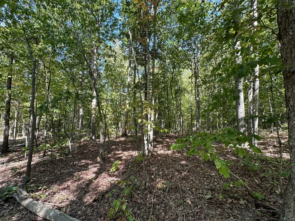 16 Coal Camp Road Hitchins KY 41146