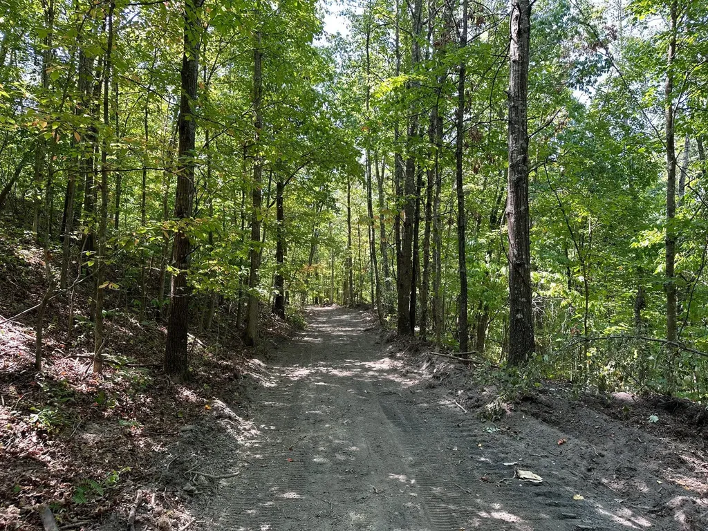 16 Coal Camp Road Hitchins KY 41146