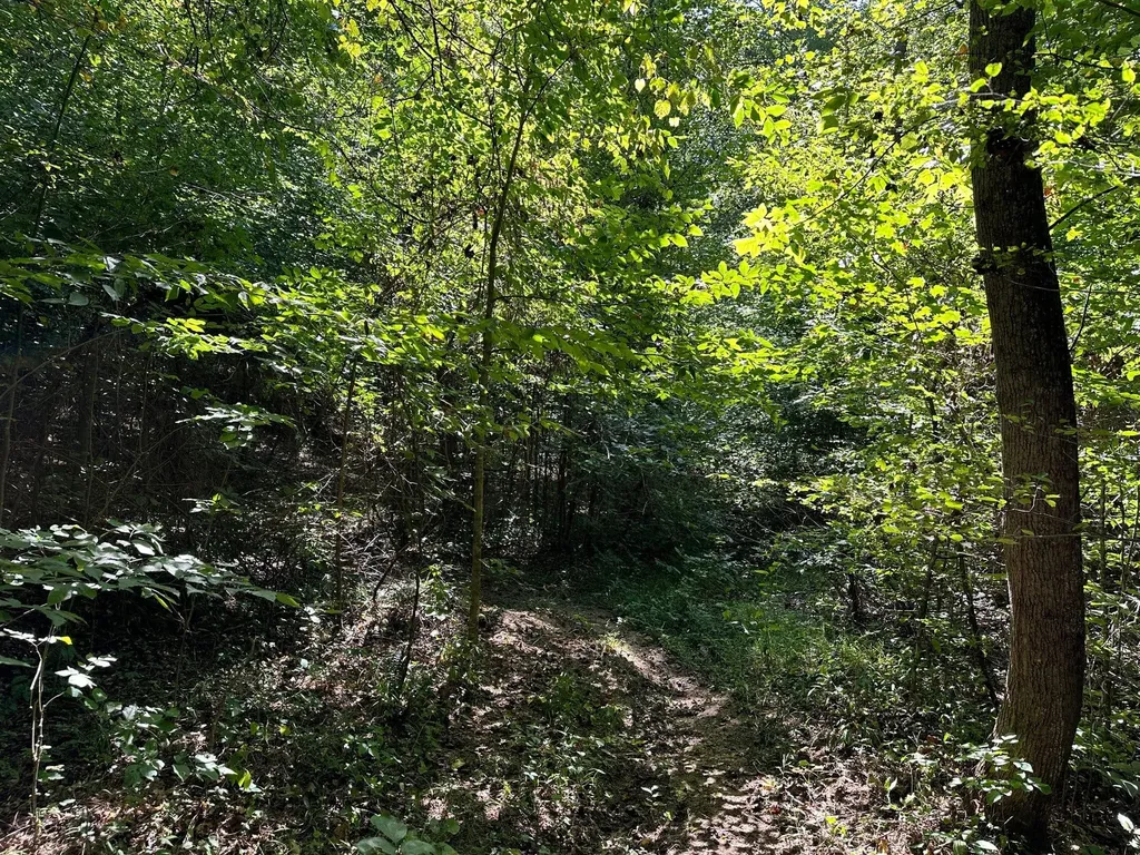 16 Coal Camp Road Hitchins KY 41146