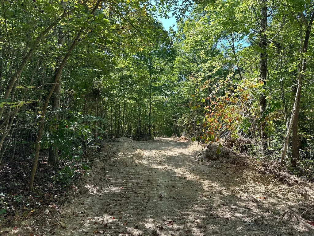 16 Coal Camp Road Hitchins KY 41146