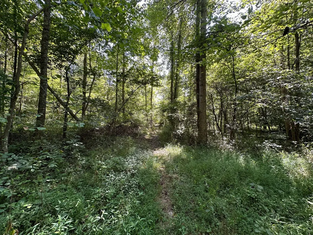 16 Coal Camp Road Hitchins KY 41146