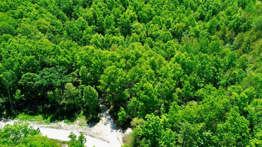 16 Coal Camp Road Hitchins KY 41146