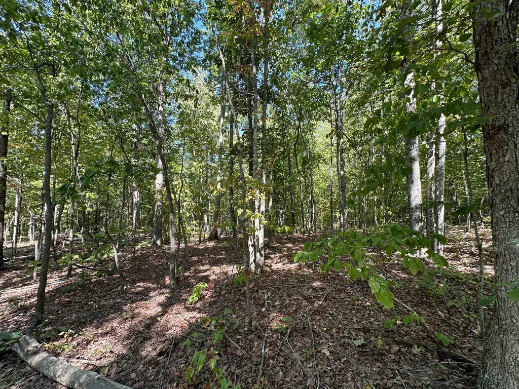 16 Coal Camp Road Hitchins KY 41146