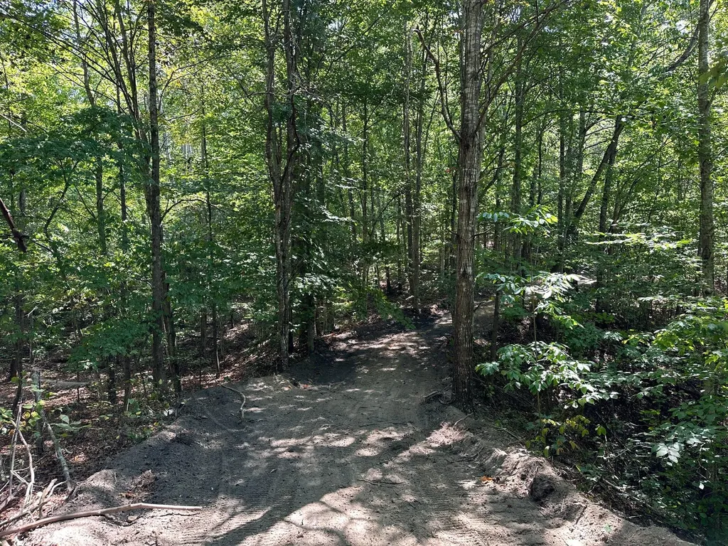 16 Coal Camp Road Hitchins KY 41146