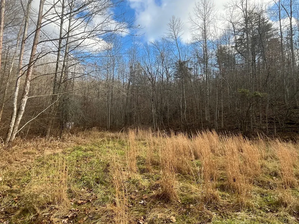 16 Coal Camp Road Hitchins KY 41146