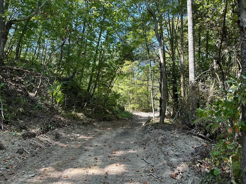 16 Coal Camp Road Hitchins KY 41146