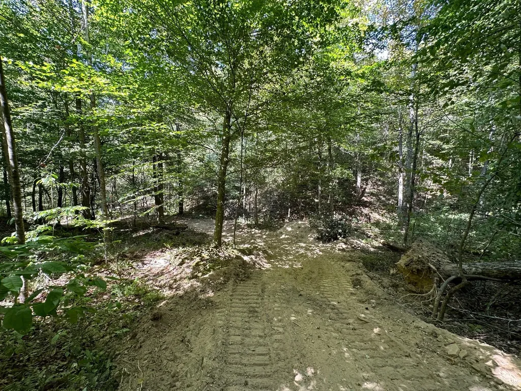 16 Coal Camp Road Hitchins KY 41146