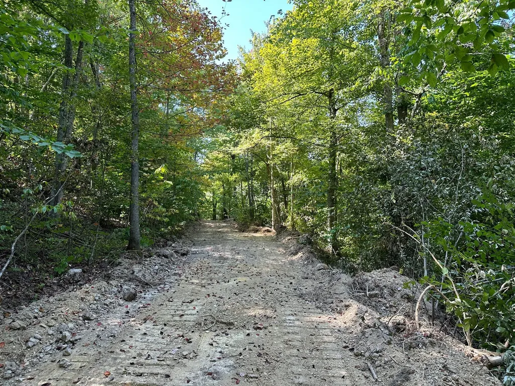 16 Coal Camp Road Hitchins KY 41146