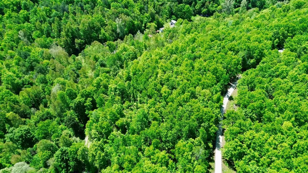 16 Coal Camp Road Hitchins KY 41146