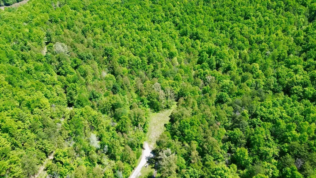 16 Coal Camp Road Hitchins KY 41146