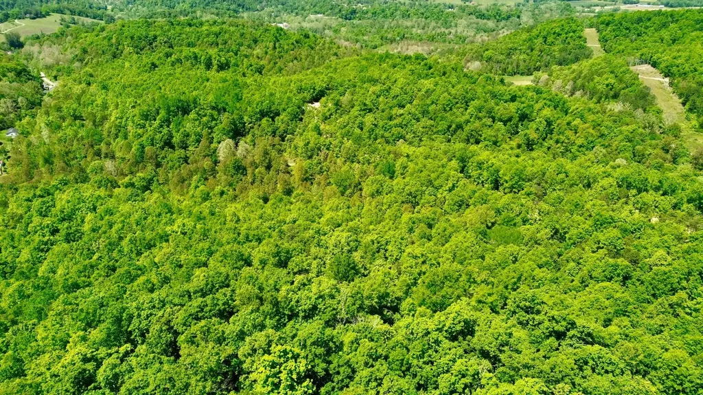 16 Coal Camp Road Hitchins KY 41146