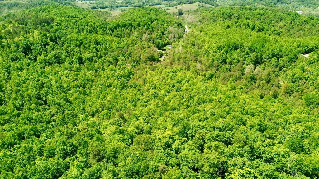 16 Coal Camp Road Hitchins KY 41146