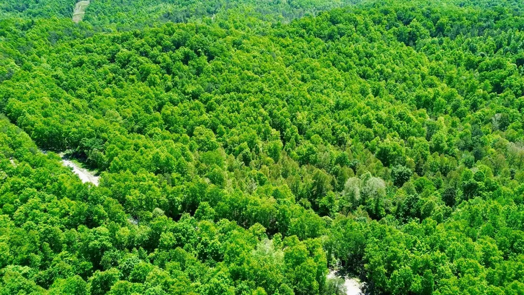 16 Coal Camp Road Hitchins KY 41146