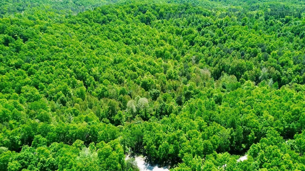 16 Coal Camp Road Hitchins KY 41146