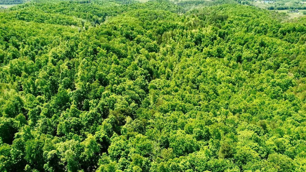 16 Coal Camp Road Hitchins KY 41146